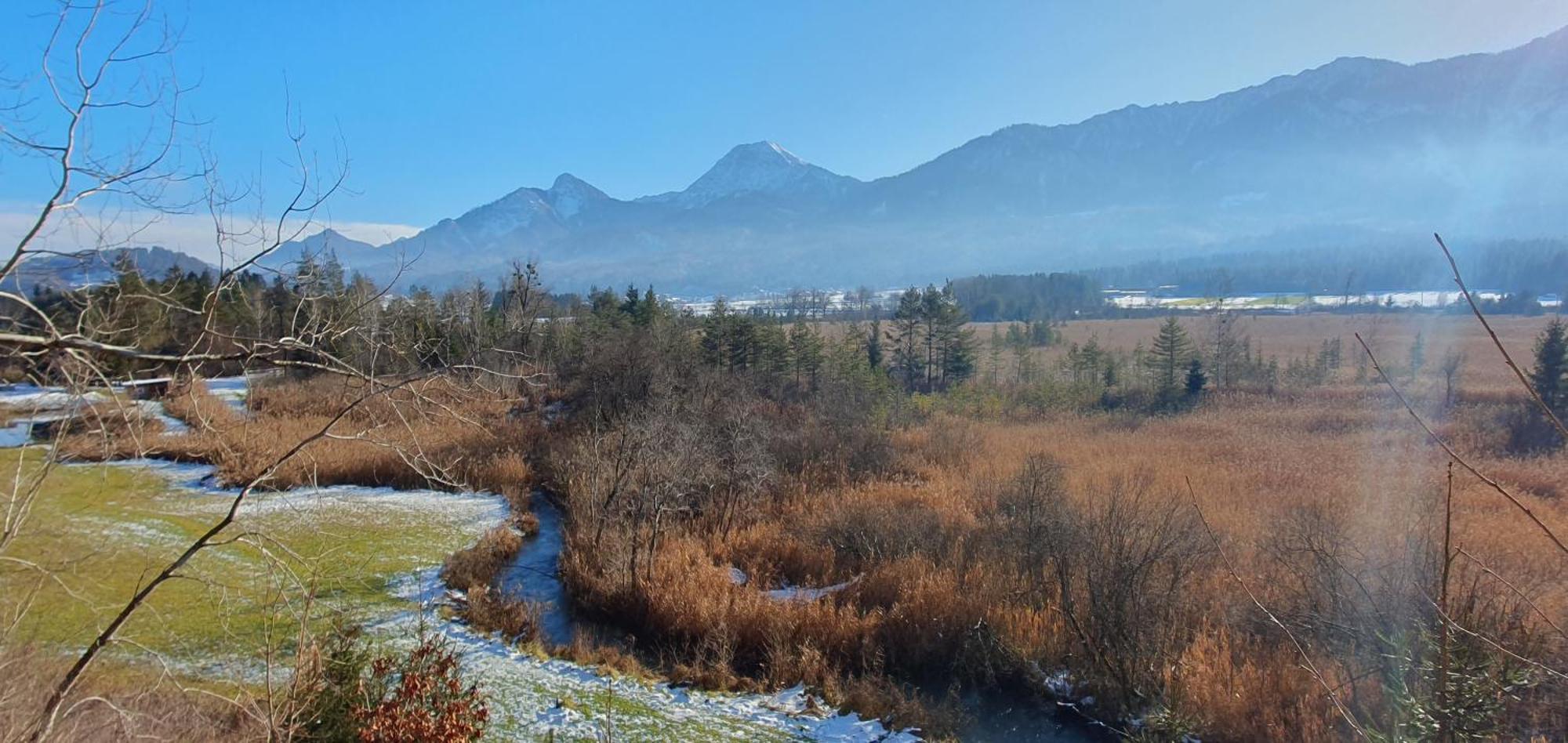 Das Stille Paradies Ledenitzen Luaran gambar