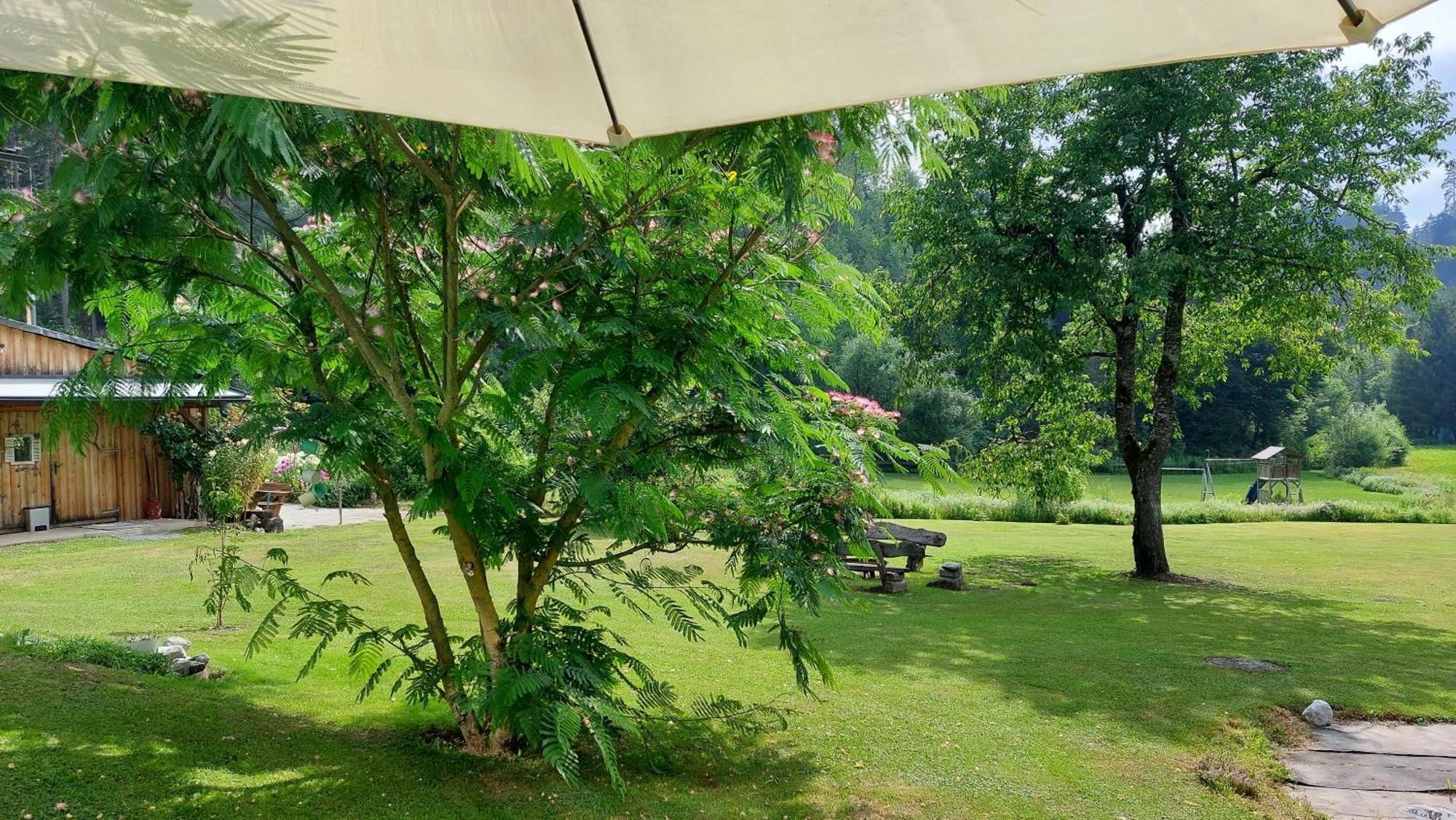 Das Stille Paradies Ledenitzen Luaran gambar