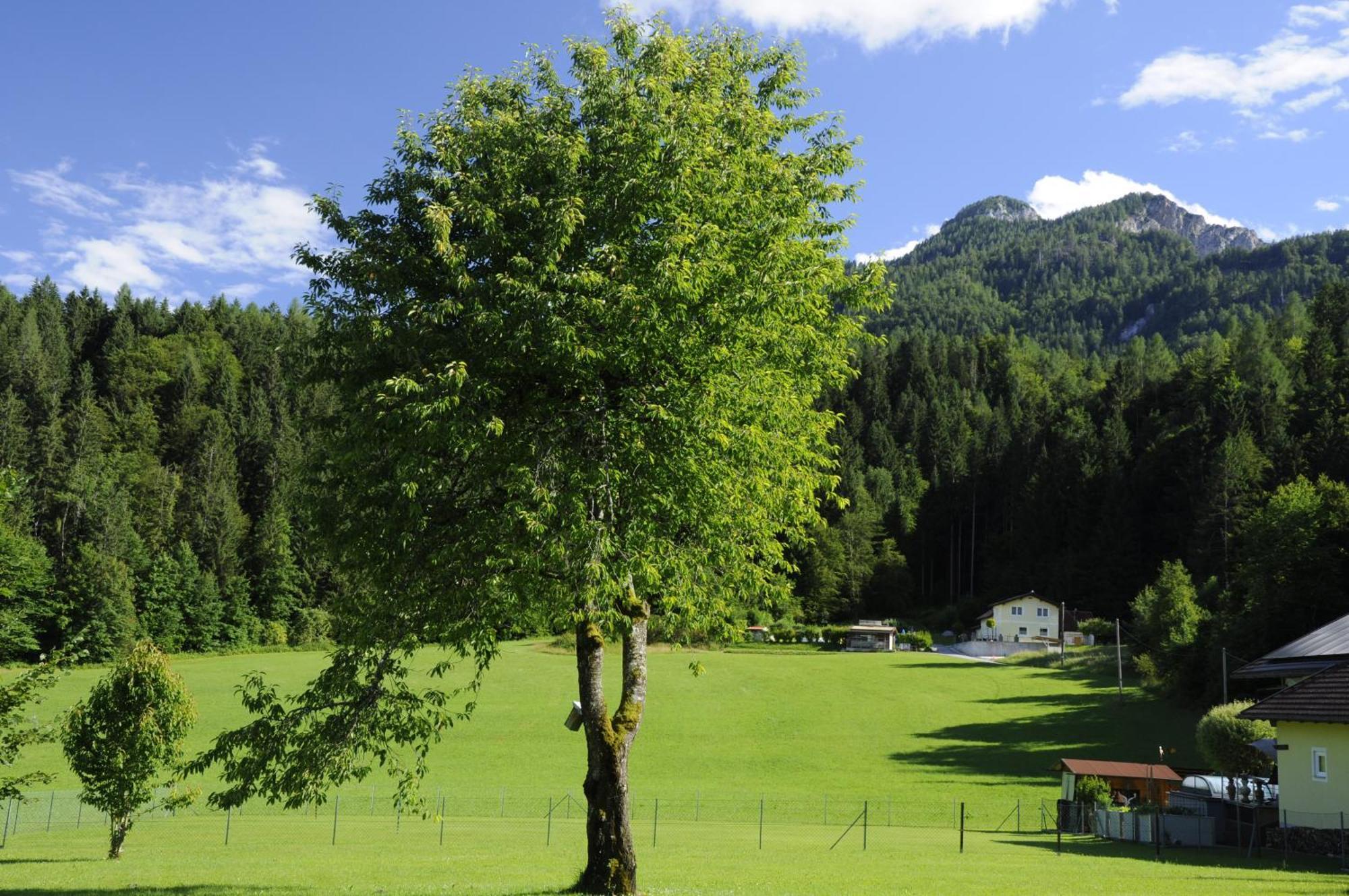 Das Stille Paradies Ledenitzen Luaran gambar